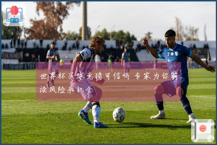 世界杯买球竞猜可信吗 专家为你解读风险和机会