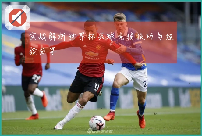 实战解析世界杯买球竞猜技巧与经验分享