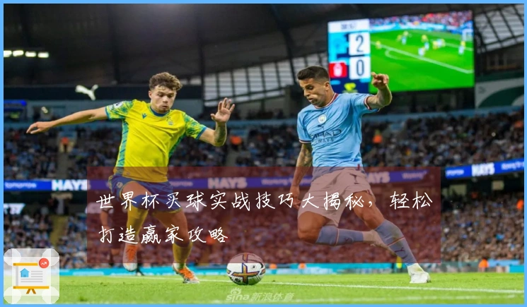 世界杯买球实战技巧大揭秘，轻松打造赢家攻略