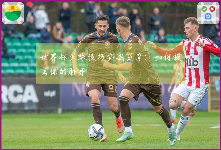 世界杯买球技巧实战分享：如何提高你的胜率