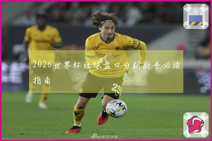 2026世界杯让球盘口分析新手必读指南