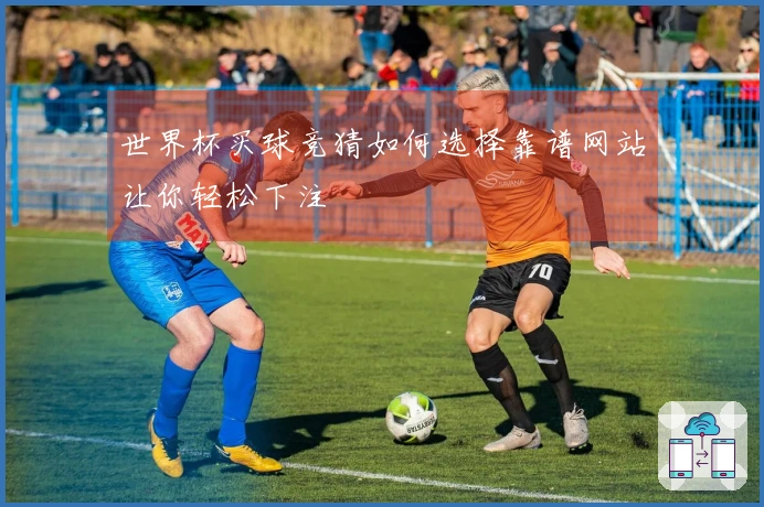 世界杯买球竞猜如何选择靠谱网站让你轻松下注