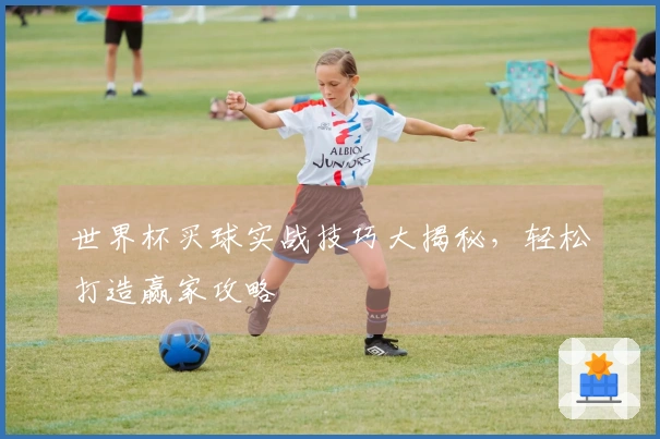 世界杯买球实战技巧大揭秘，轻松打造赢家攻略