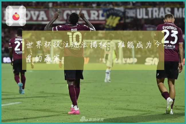世界杯投注玩法揭秘：谁能成为今年的赢家