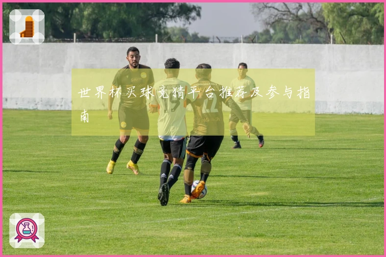 世界杯买球竞猜平台推荐及参与指南