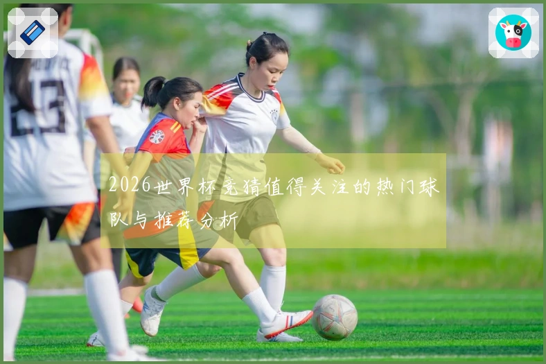 2026世界杯竞猜值得关注的热门球队与推荐分析