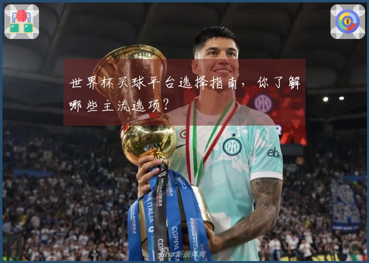 世界杯买球平台选择指南，你了解哪些主流选项？