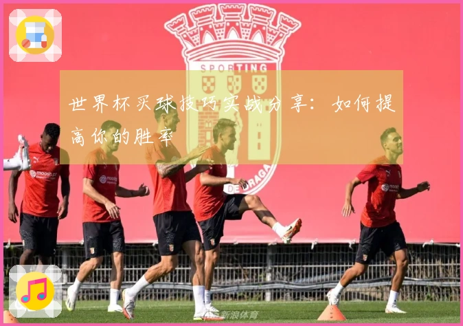 世界杯买球技巧实战分享：如何提高你的胜率