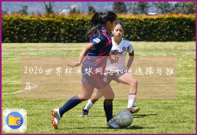 2026世界杯滚球网站如何选择与推荐