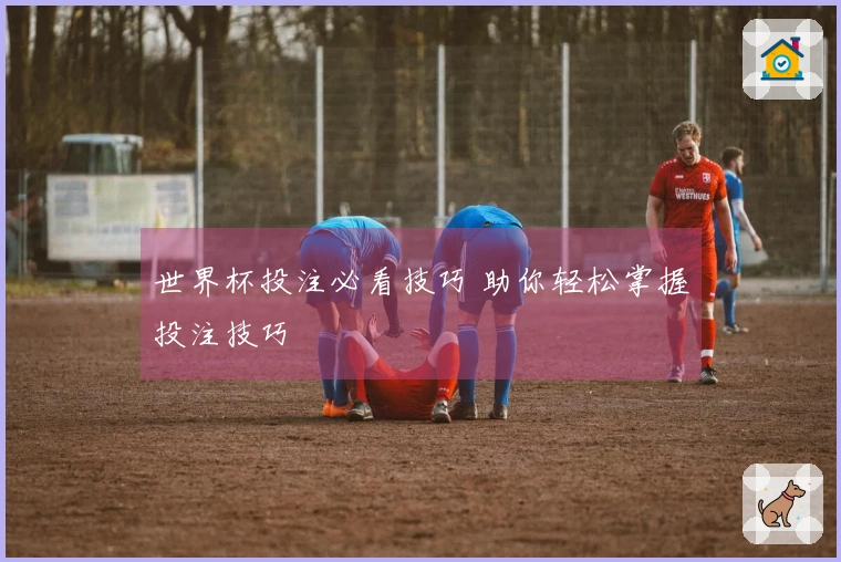 世界杯投注必看技巧 助你轻松掌握投注技巧