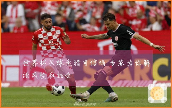 世界杯买球竞猜可信吗 专家为你解读风险和机会