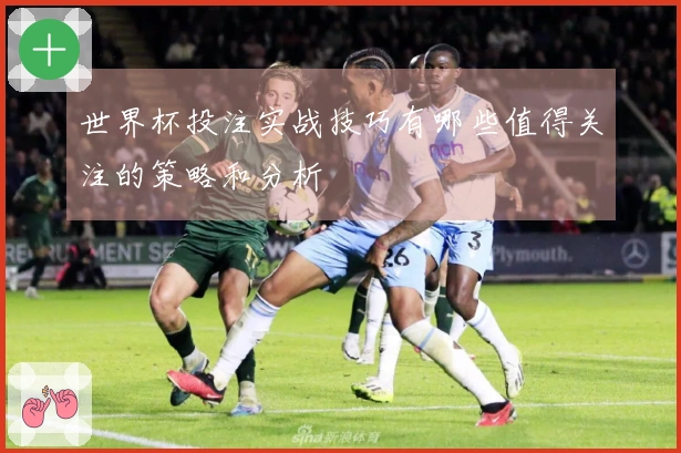 世界杯投注实战技巧有哪些值得关注的策略和分析