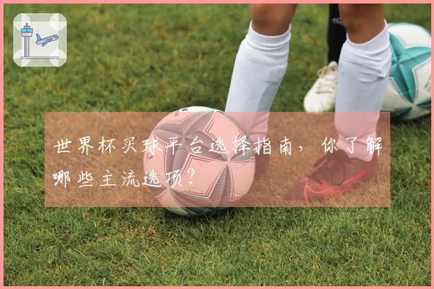 世界杯买球平台选择指南，你了解哪些主流选项？