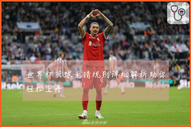 世界杯买球竞猜规则详细解析助你轻松上手