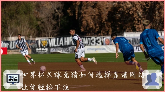 世界杯买球竞猜如何选择靠谱网站让你轻松下注