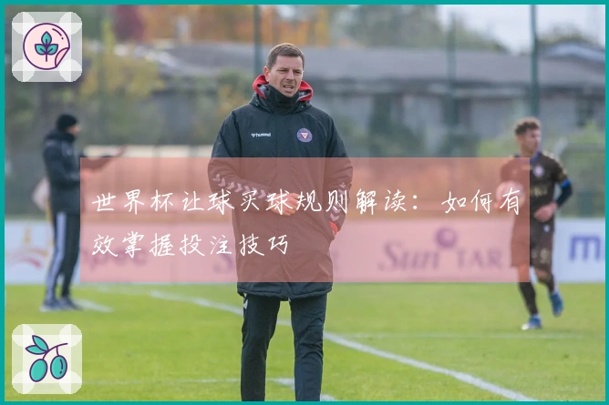 世界杯让球买球规则解读：如何有效掌握投注技巧